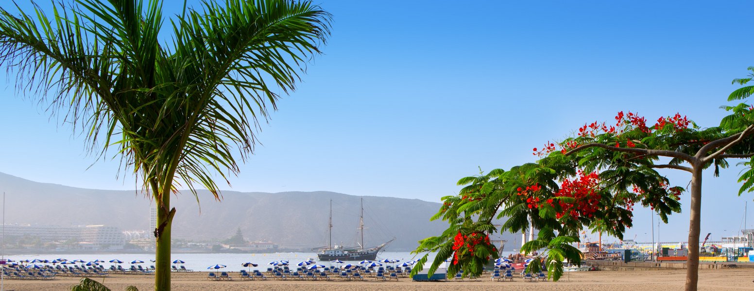 Das ganze Jahr Sommer im März 2026