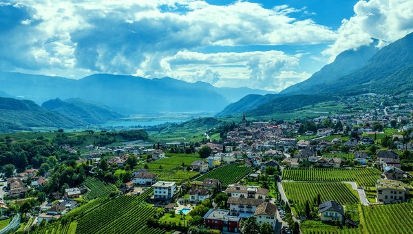 Blick in Richtung See und Berge, im Vordergrund viele Reben