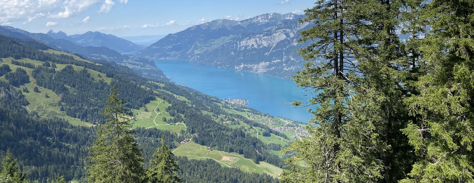 Tanz- und Kreativwoche