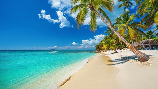 Türkisblaues Wasser, weisser Sandstrand und Palmen. Eine Palme im Vordergrund steht schräg Richtung Meer., die sich Richtung mehr