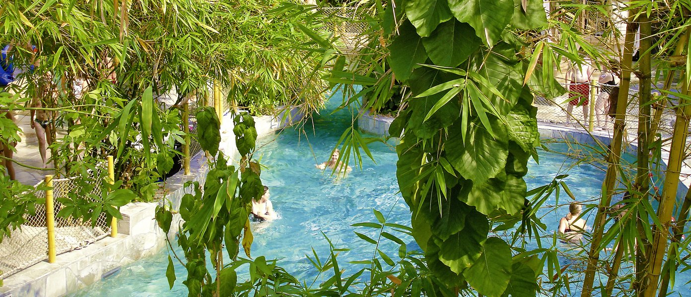 Center Parc in der Sologne