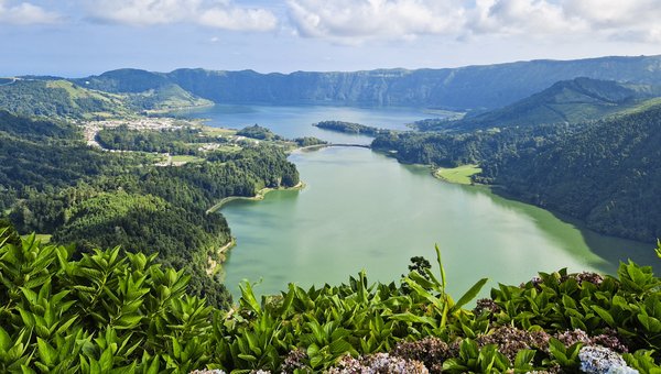 Blick auf einen See umgeben von einem dichten Wald
